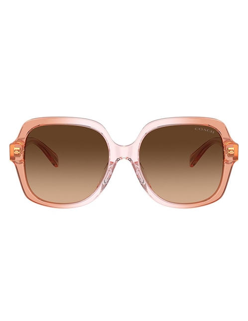 Lentes de sol CR616 para mujer