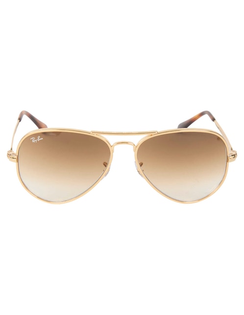 Lentes de sol Ray Ban Evolution unisex