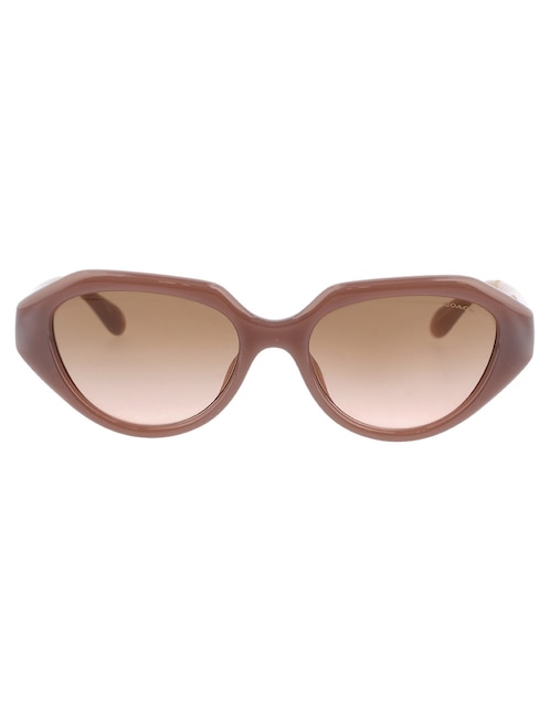 Lentes de sol HC8433U para mujer 1
