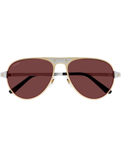 Lentes de sol Ct0533s-004 para hombre