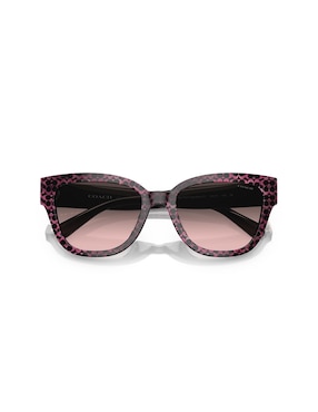 Lentes de sol Coach 8379U Creative Class para mujer