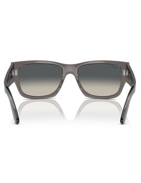 Lentes de sol Ray Ban Life Style Carlos unisex
