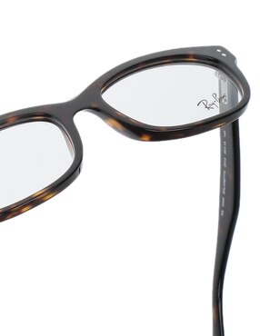 Armanzon Ray Ban Evolution unisex
