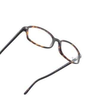Armanzon Ray Ban Evolution unisex