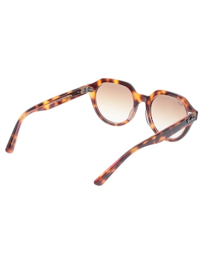 Lentes de sol Ray Ban Evolution unisex