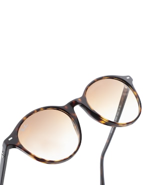 Lentes de sol Ray Ban Evolution unisex