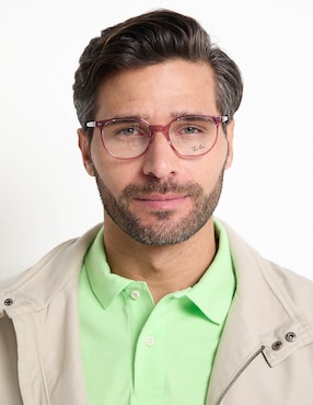 Armanzon Ray Ban Lifestyle Evolution unisex