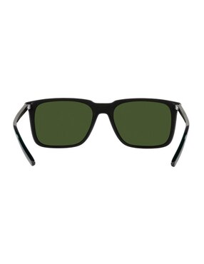 Lentes de sol Arnette Trigon para hombre