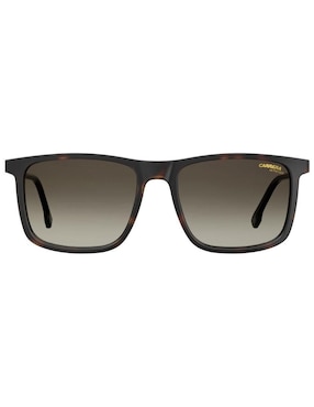 Lentes de sol Carrera para hombre