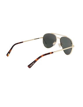 Lentes de sol Polar PGDAV02/G unisex