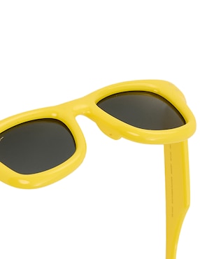 Lentes de sol Ray Ban Wayfarer Puffer unisex