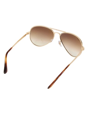 Lentes de sol Ray Ban Evolution unisex
