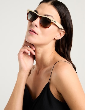 Lentes de sol Ray Ban Evolution unisex