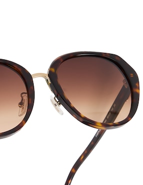 Lentes de sol Coach Modern Heritage HC8331 para mujer