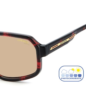 Lentes de sol Carrera C 26/S para hombre