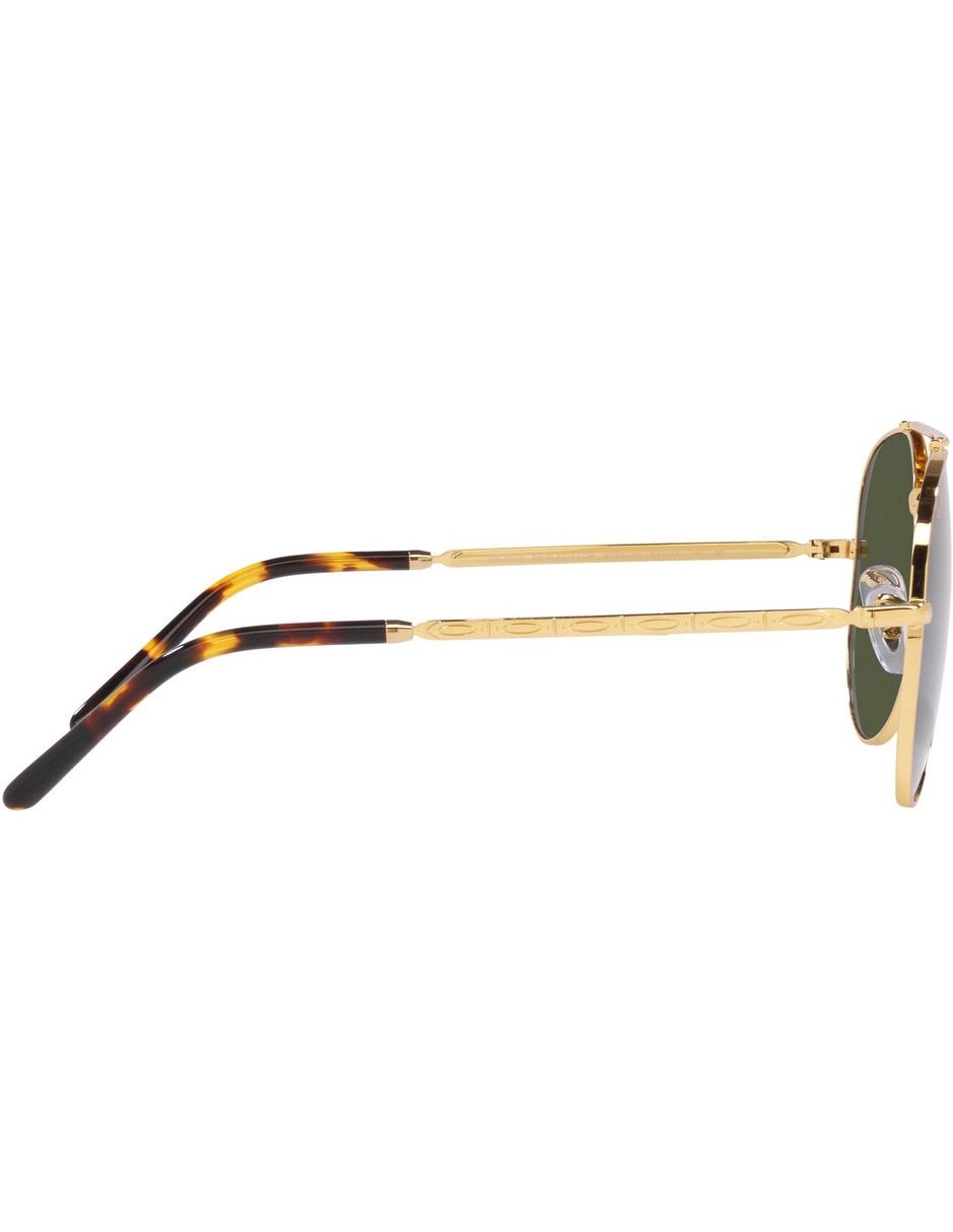 Lentes de sol Evolution para hombre 10