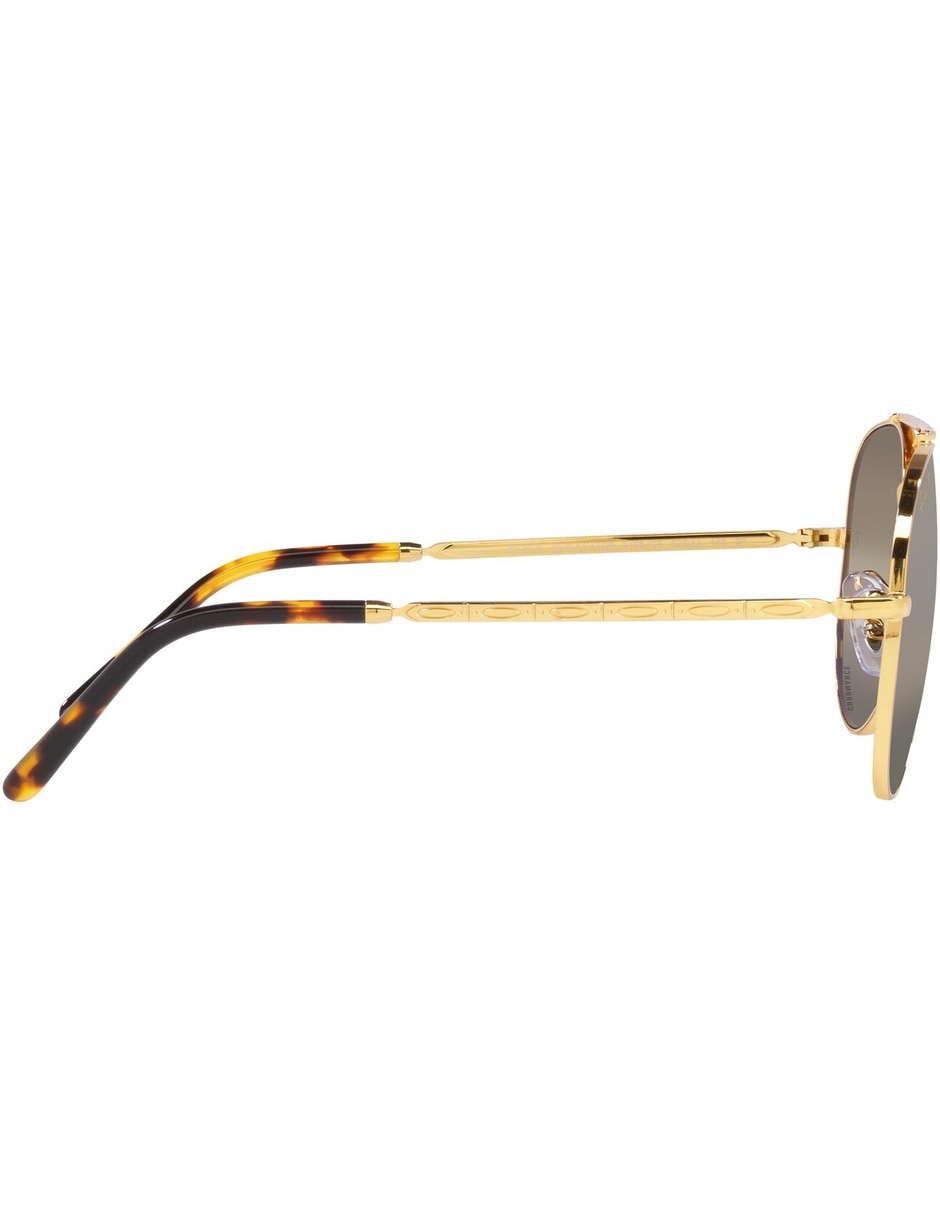 Lentes de sol Evolution para hombre 10