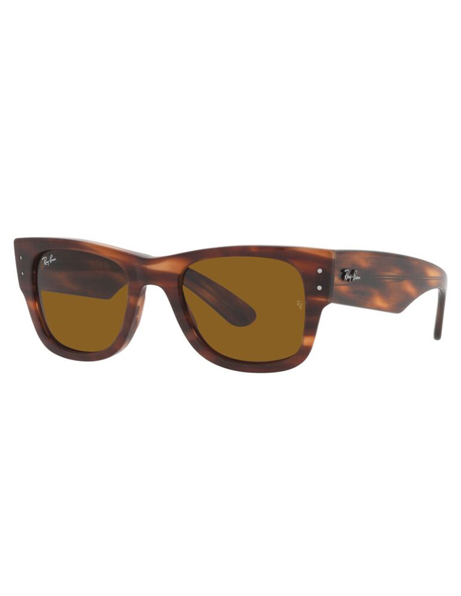 Lentes de sol Mega Wayfarer unisex 2