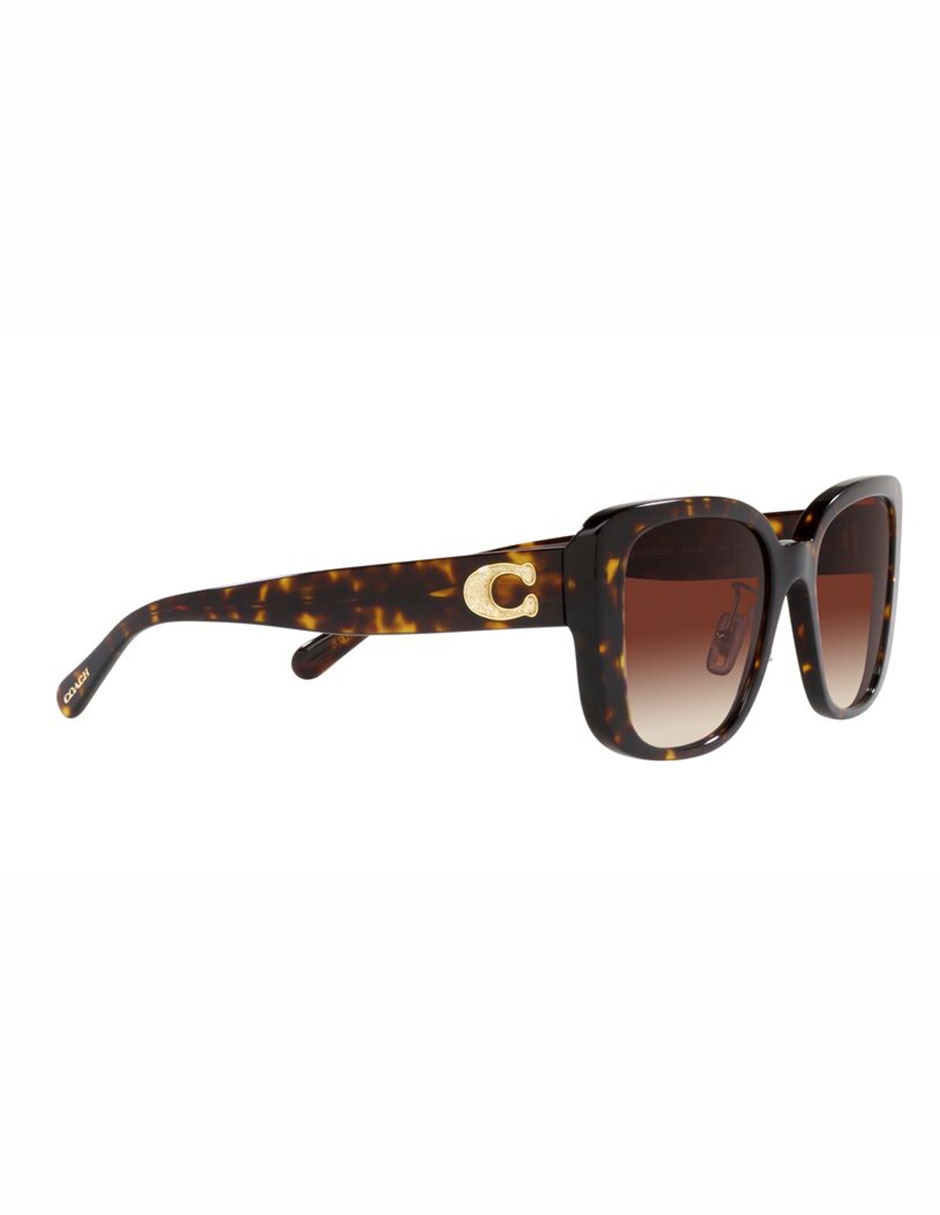 Lentes de sol CD472 para mujer 11