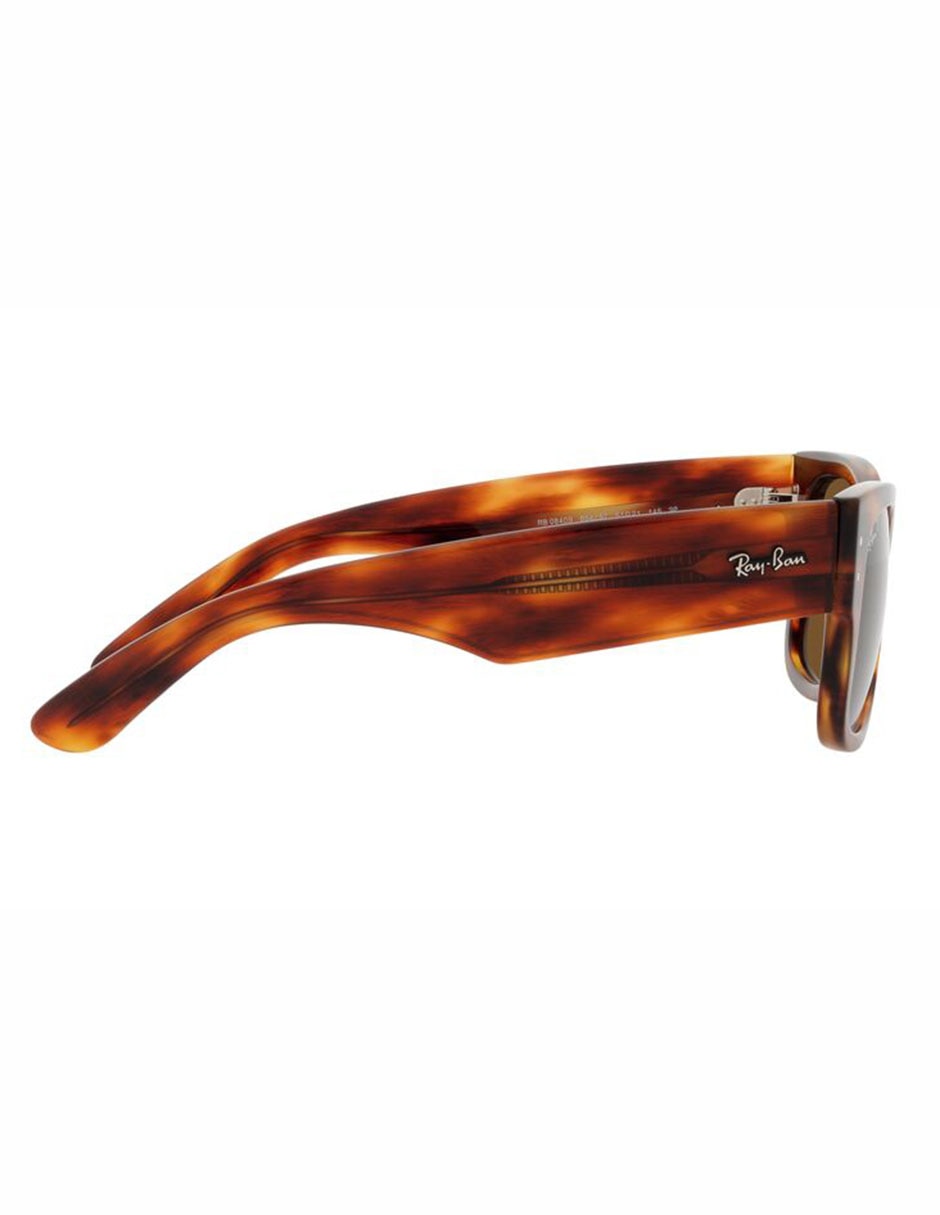 Lentes de sol Mega Wayfarer unisex 10
