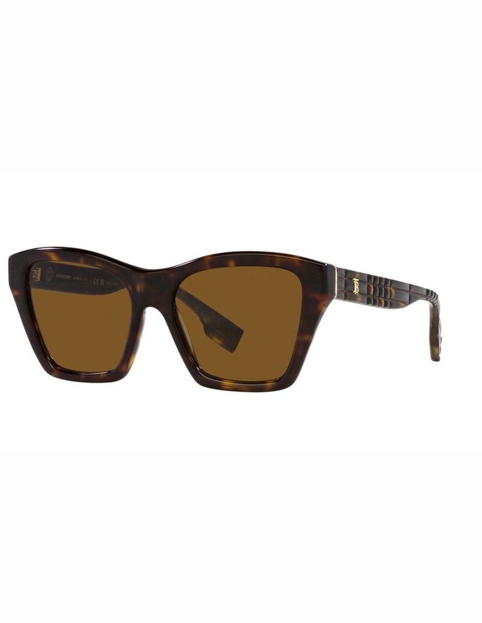 Lentes de sol Arden 4391 para mujer 2