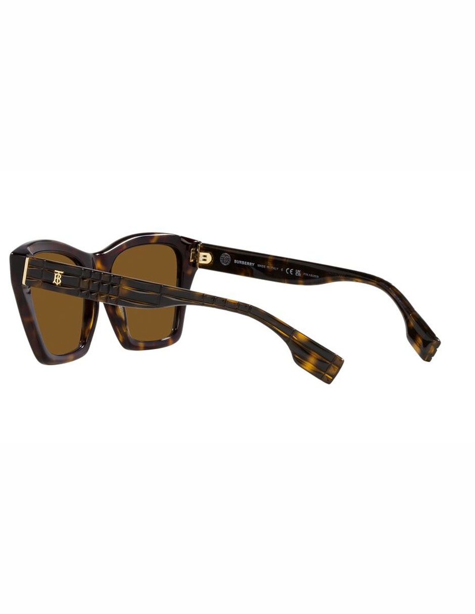 Lentes de sol Arden 4391 para mujer 5