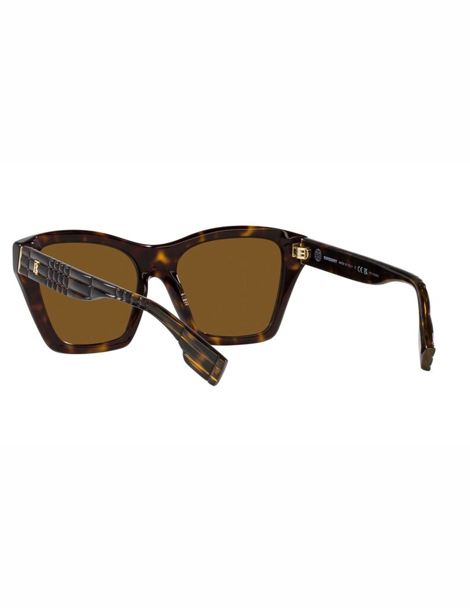 Lentes de sol Arden 4391 para mujer 6