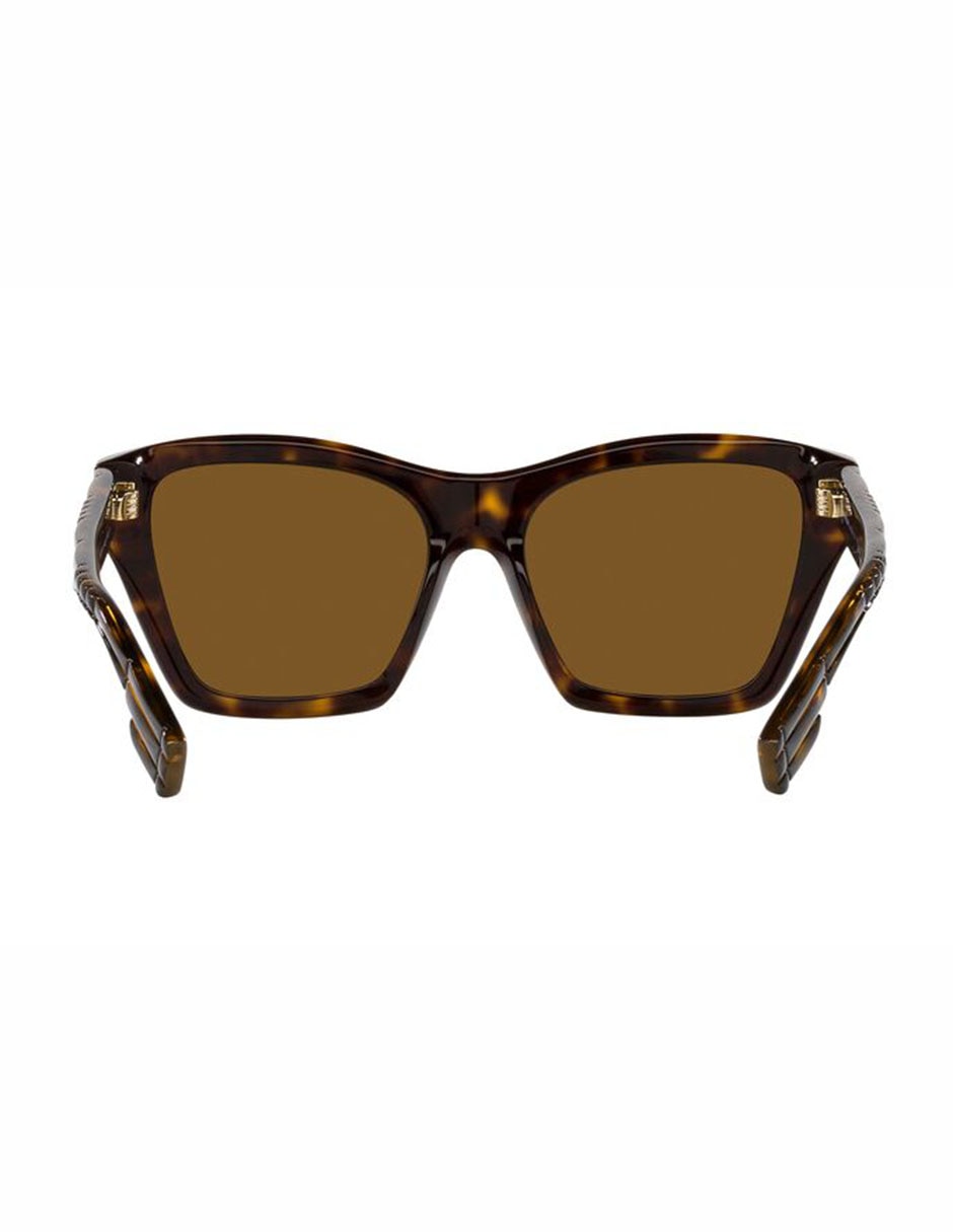 Lentes de sol Arden 4391 para mujer 7