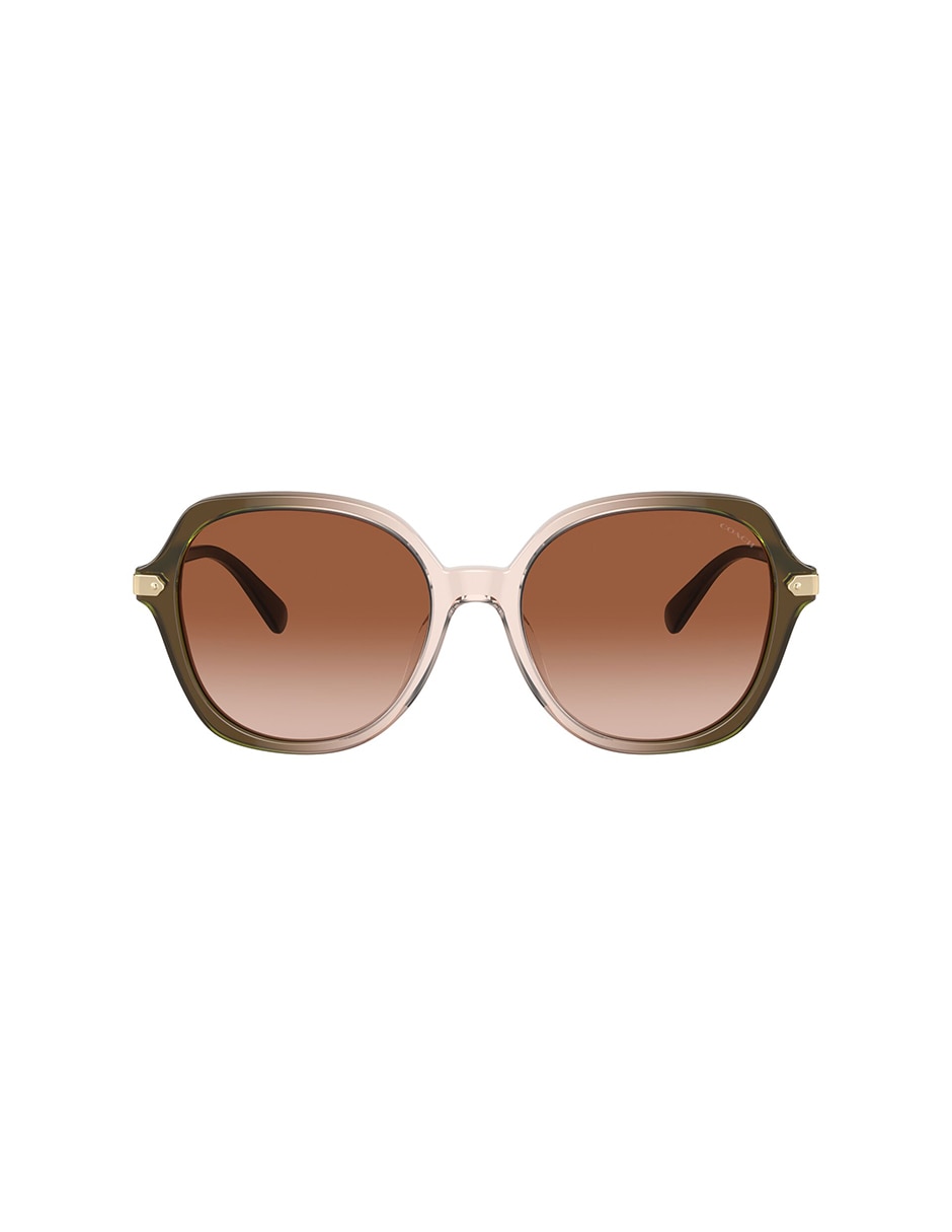 Lentes de sol Modern Heritage 8377U Heritage para mujer