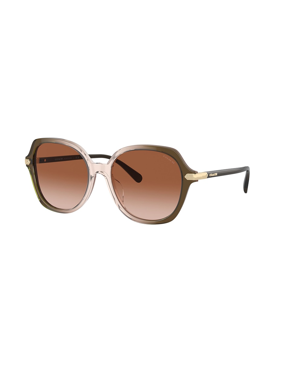 Lentes de sol Modern Heritage 8377U Heritage para mujer 2