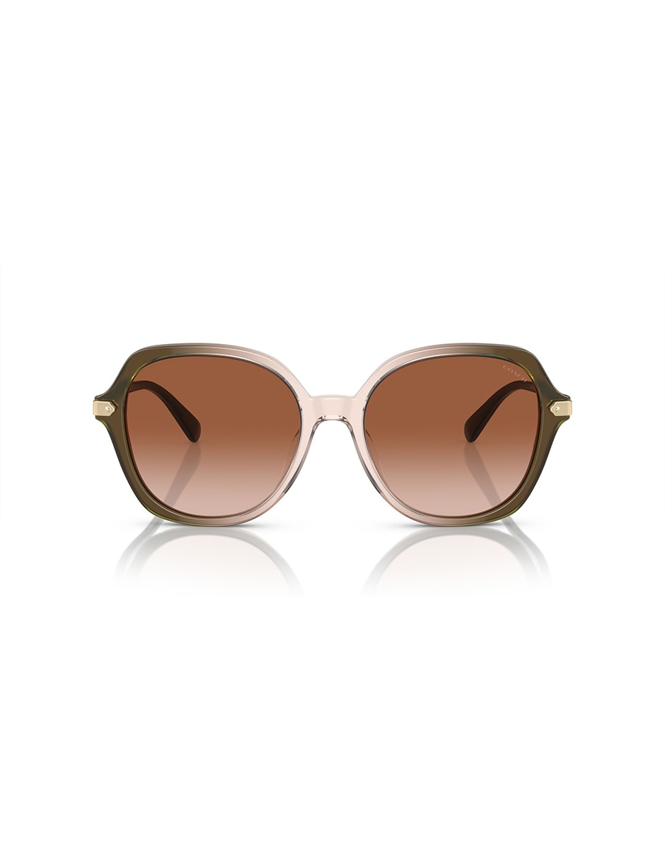 Lentes de sol Modern Heritage 8377U Heritage para mujer 5