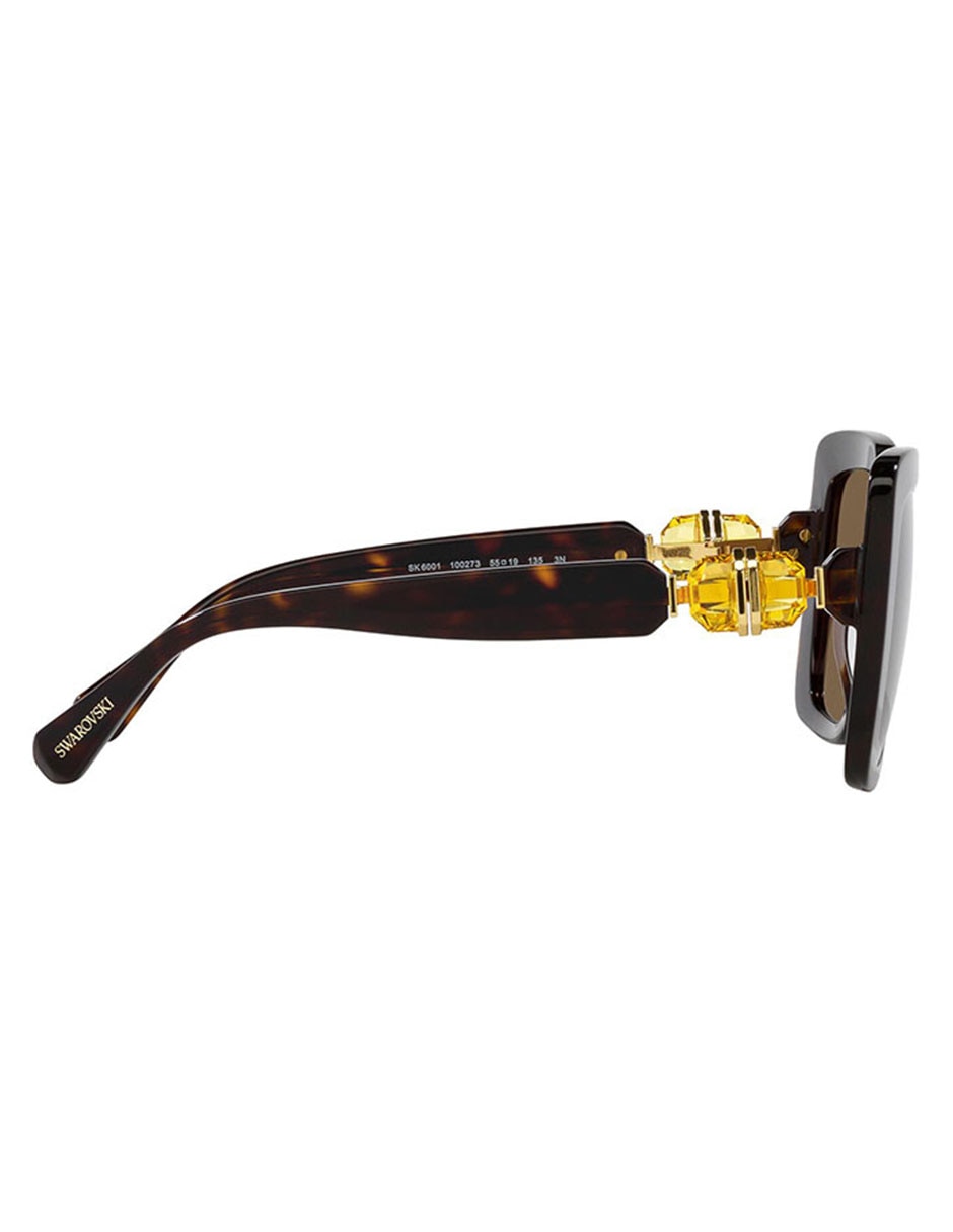 Lentes de sol Lucent Hinge para mujer 10