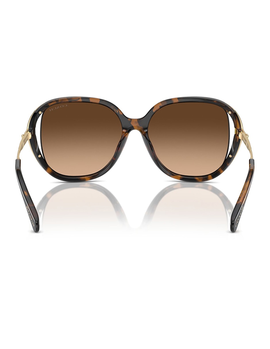 Lentes de sol Premium CR620 para mujer 6