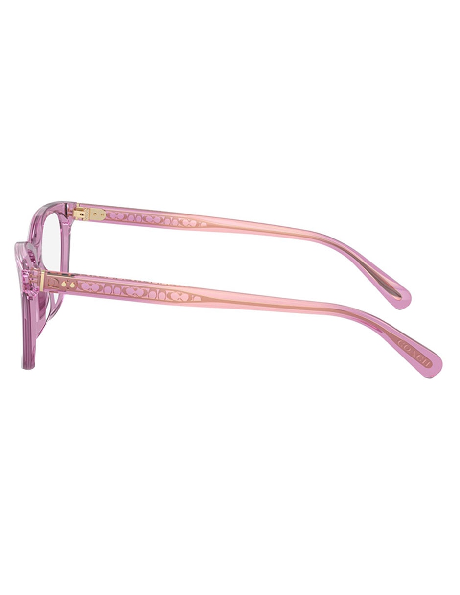 Armanzon Premium Douglas para mujer 3
