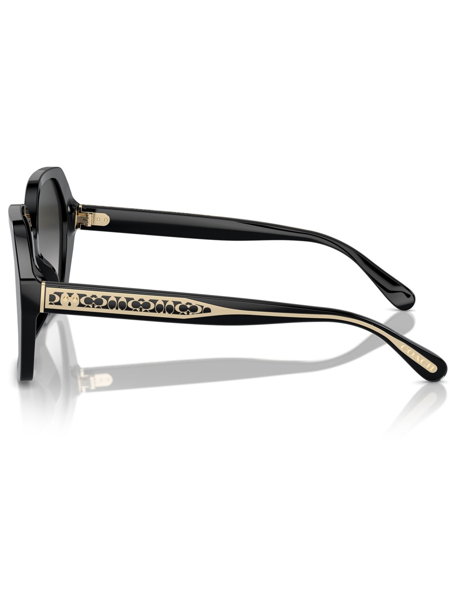 Lentes de sol Premium Cr615 para mujer 3