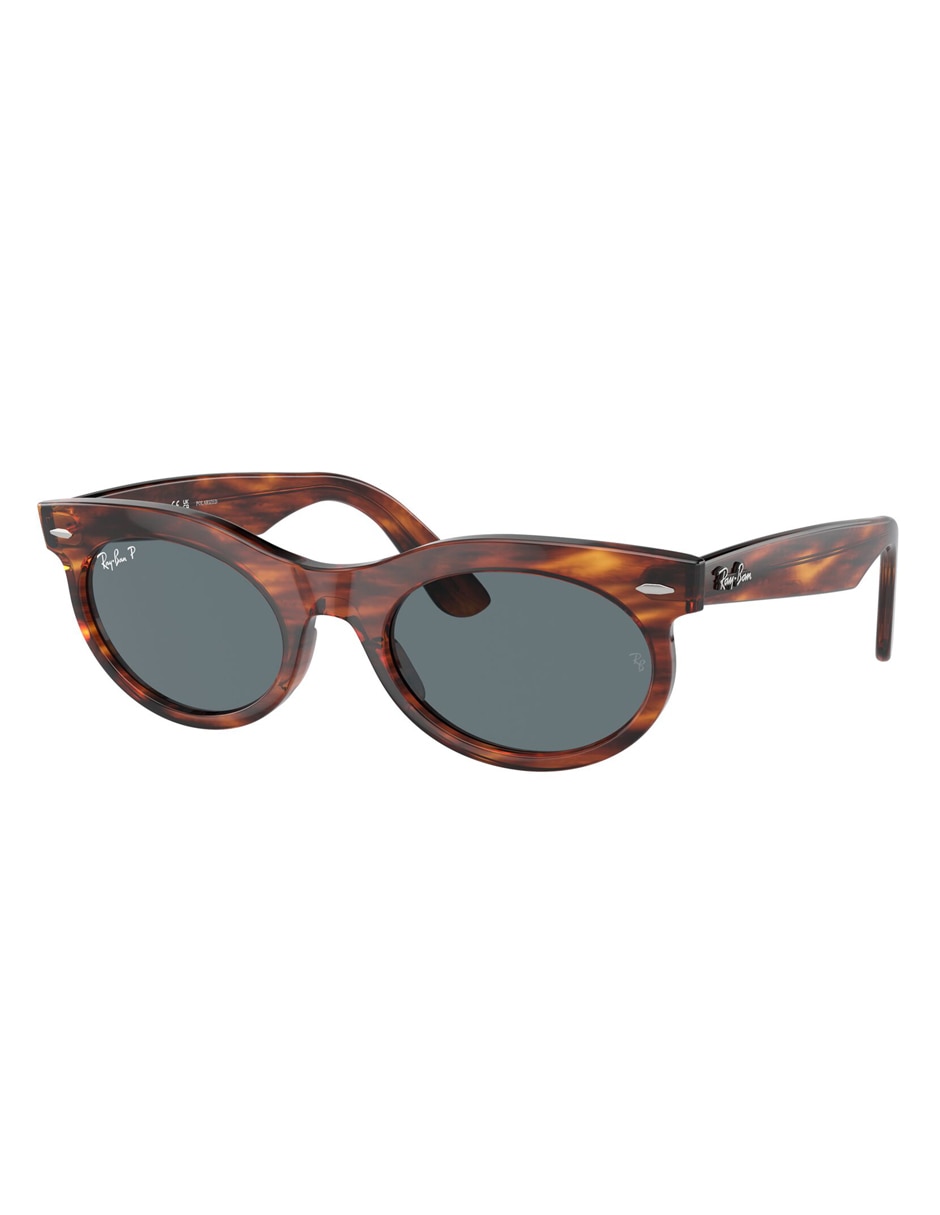 Lentes de sol Lyfe Style Wayfarer Oval unisex 2