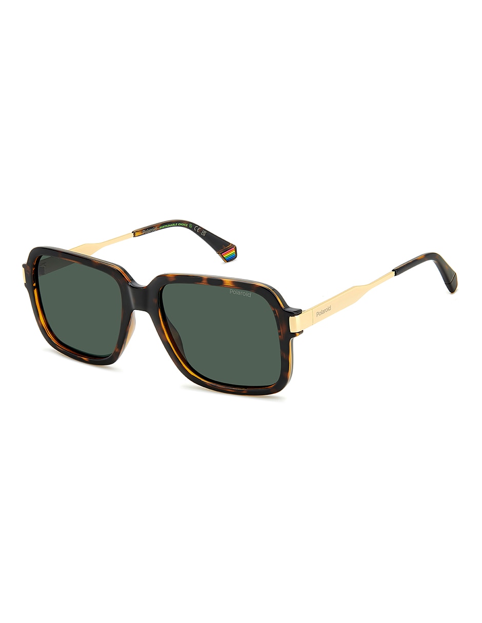 Lentes de sol PLD 6220/S/X para hombre 2