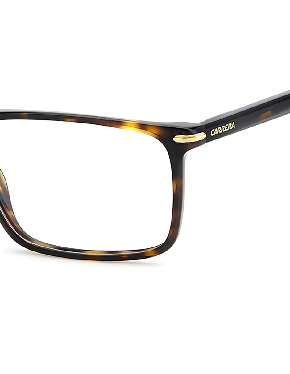 Armanzon para hombre 5