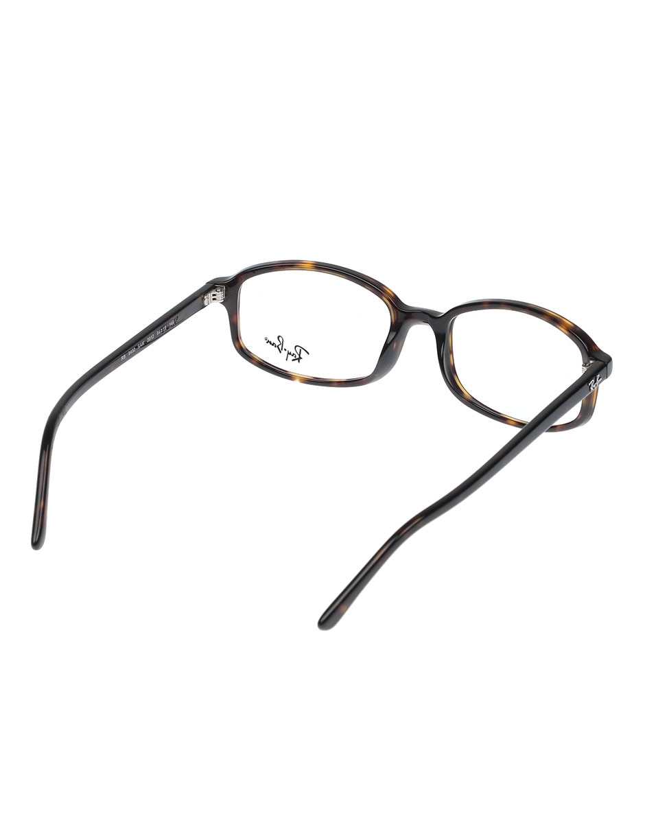 Armanzon Evolution unisex 4