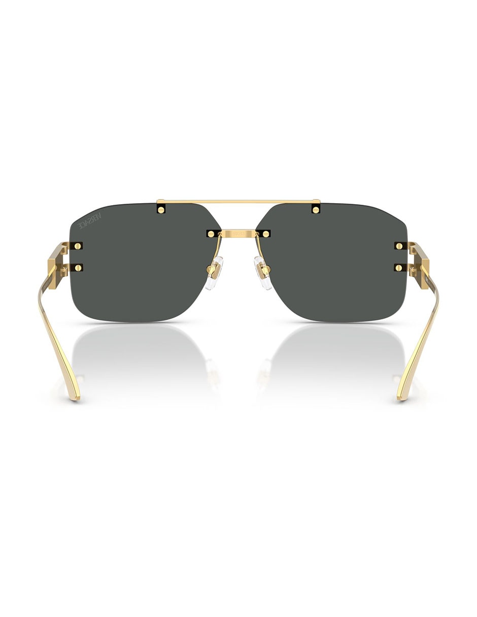 Lentes de sol Damier Plaque para hombre