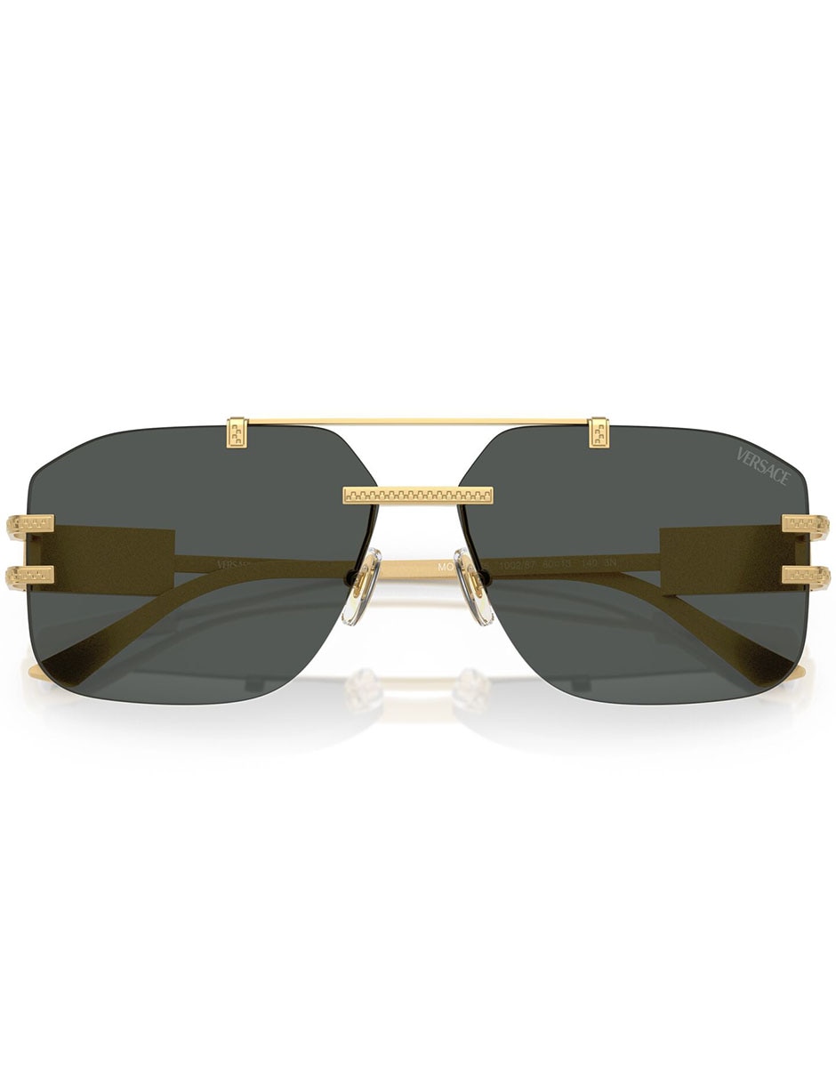 Lentes de sol Damier Plaque para hombre