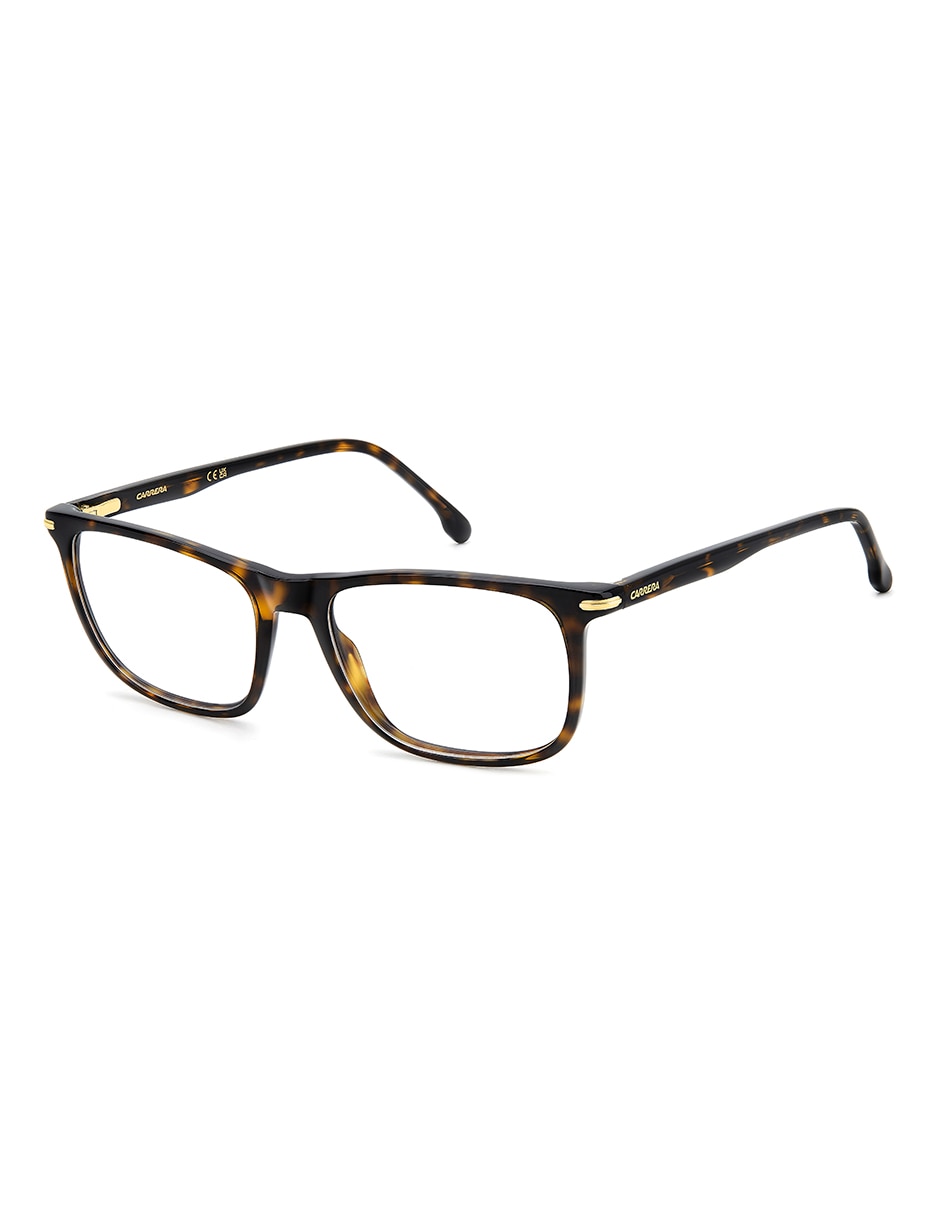 Armanzon para hombre 2