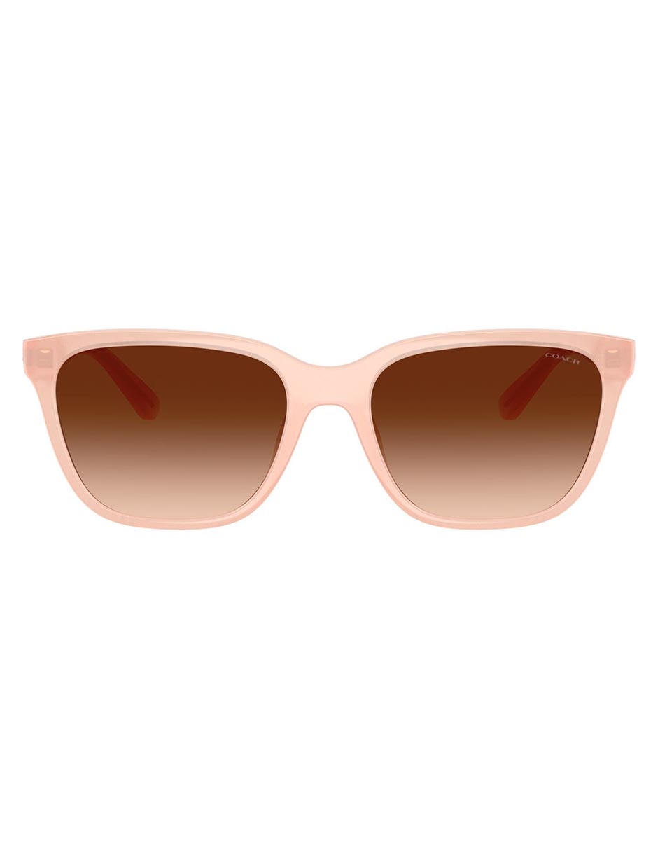 Lentes de sol Premium Fashion CAE86 para mujer