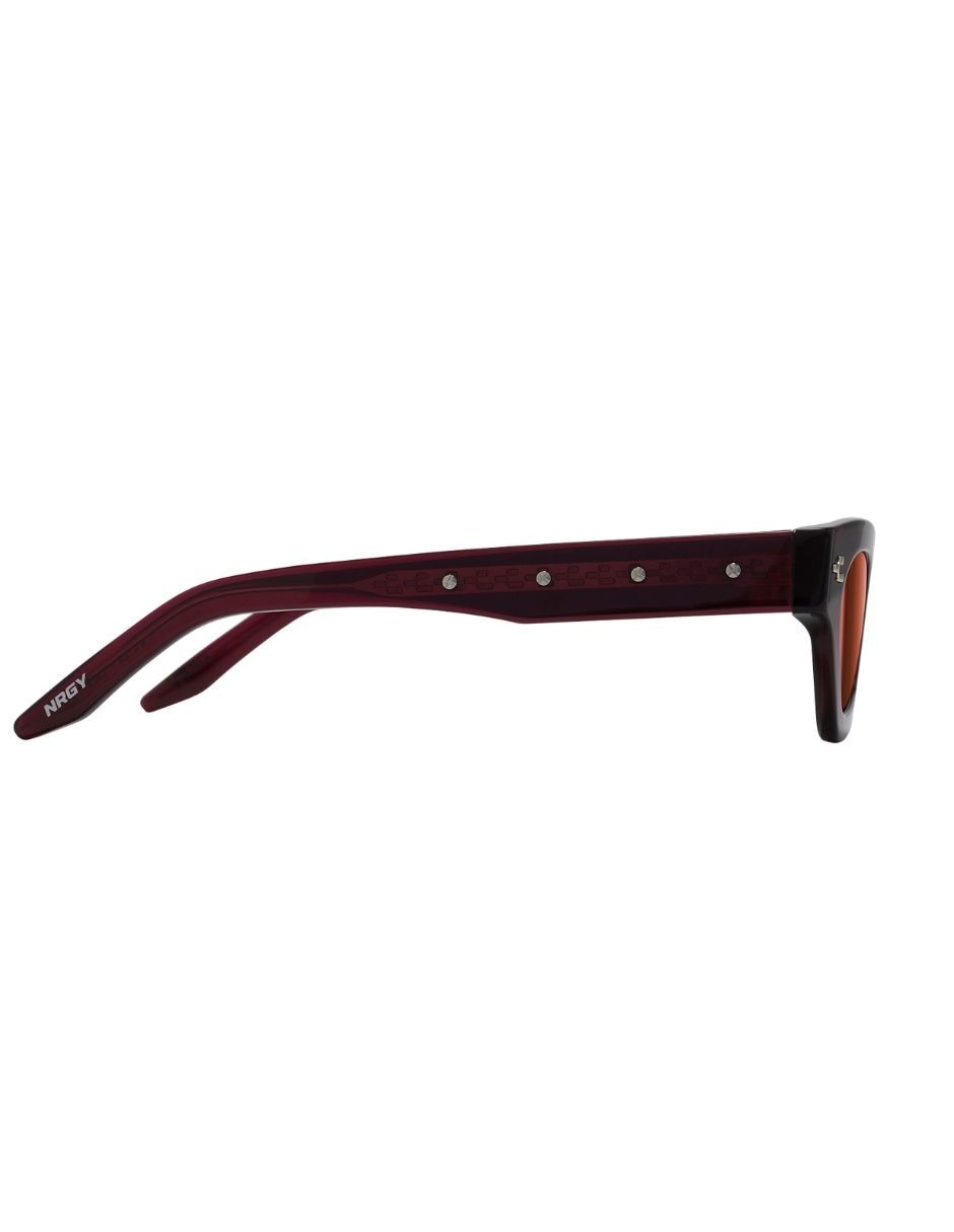 Lentes de sol By Revo Lynx unisex 4