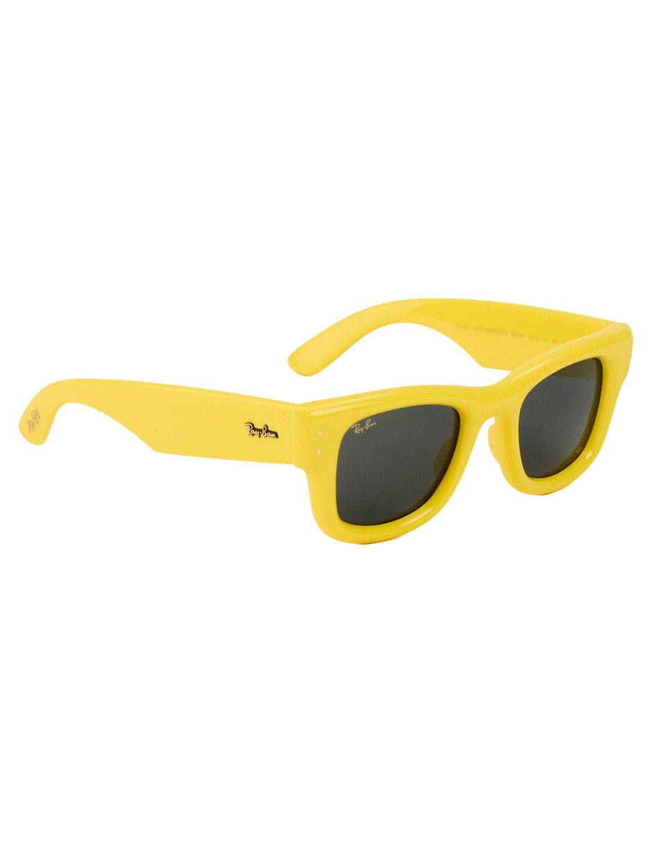 Lentes de sol Wayfarer Puffer unisex 3