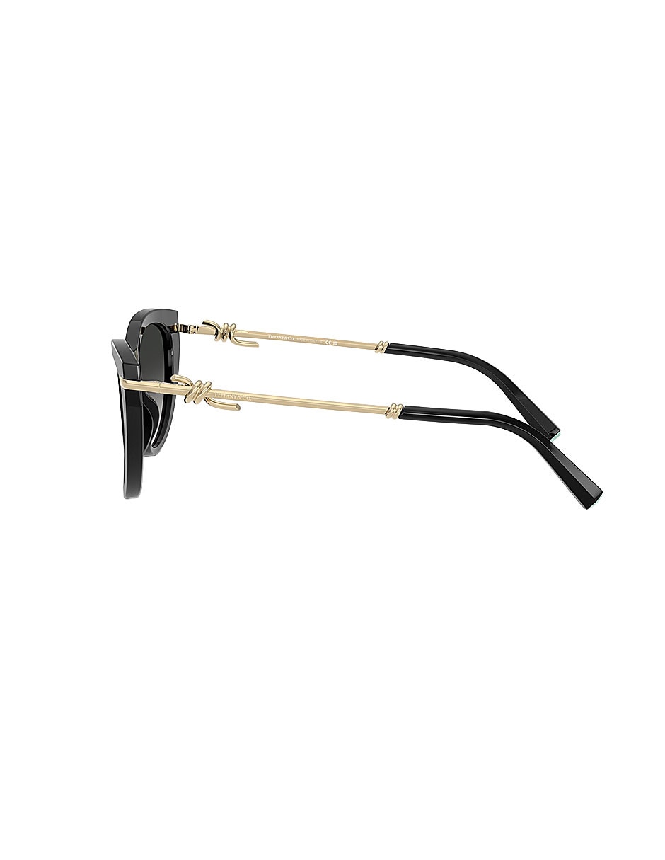 Lentes de sol Icons 0tf425380013c55 para mujer 3
