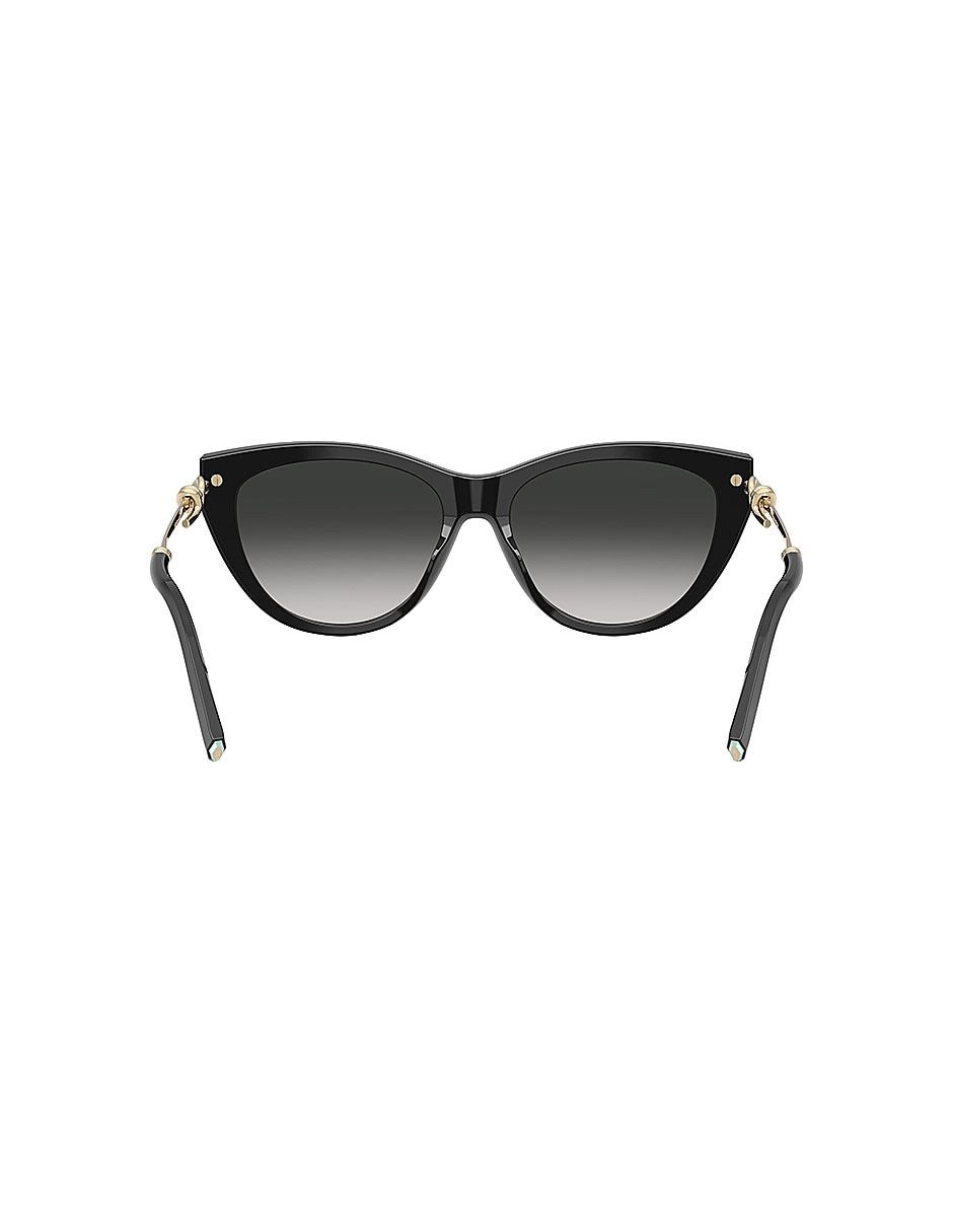 Lentes de sol Icons 0tf425380013c55 para mujer 4