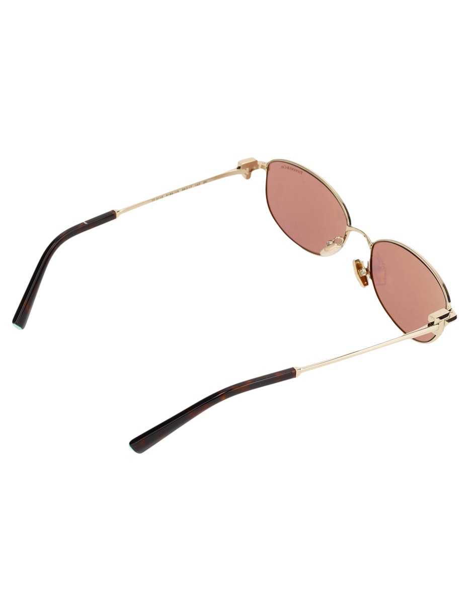 Lentes de sol Icons TF 3115 unisex 4