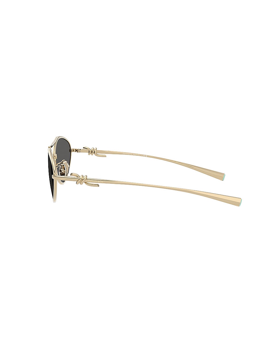 Lentes de sol Icons 0tf31176021s458 para mujer 3