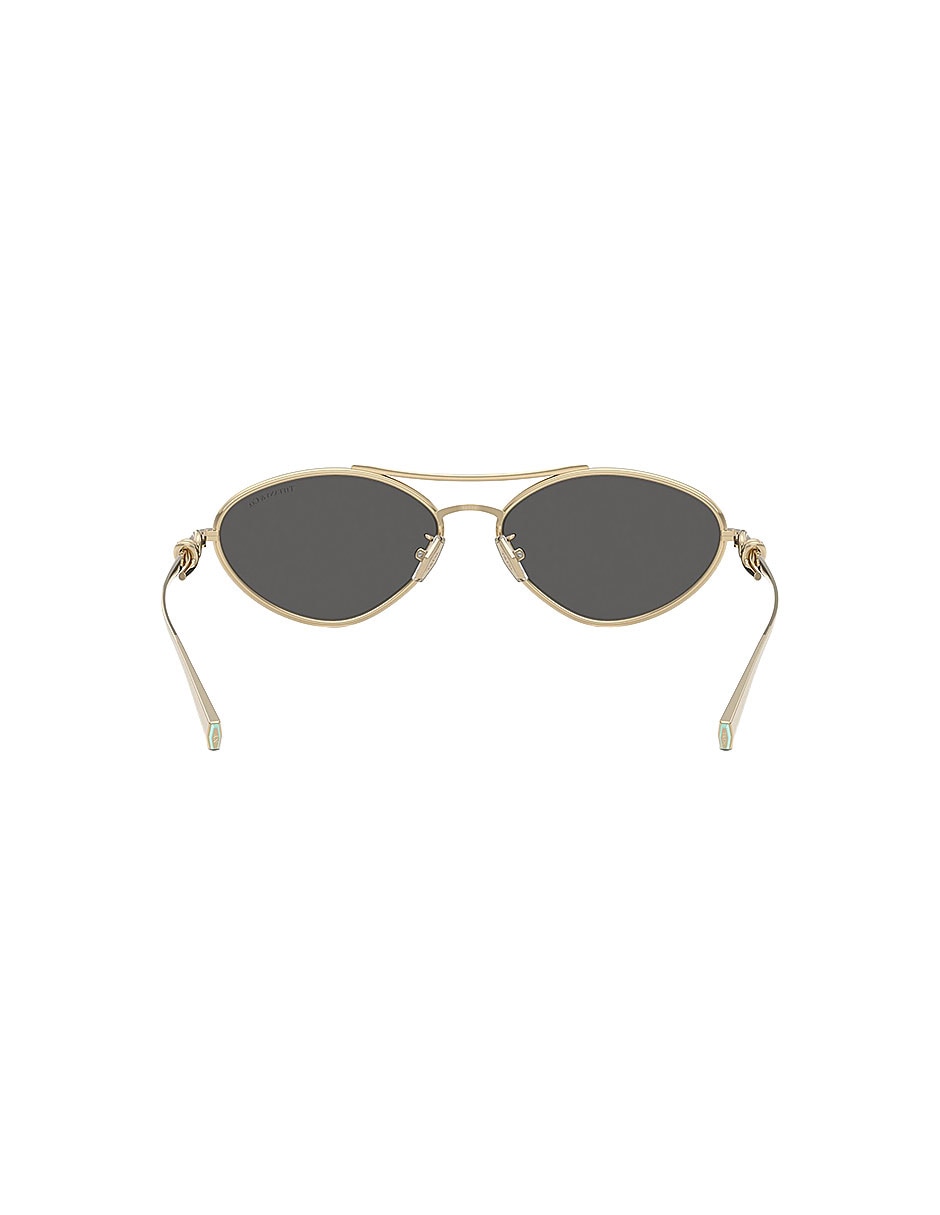 Lentes de sol Icons 0tf31176021s458 para mujer 4